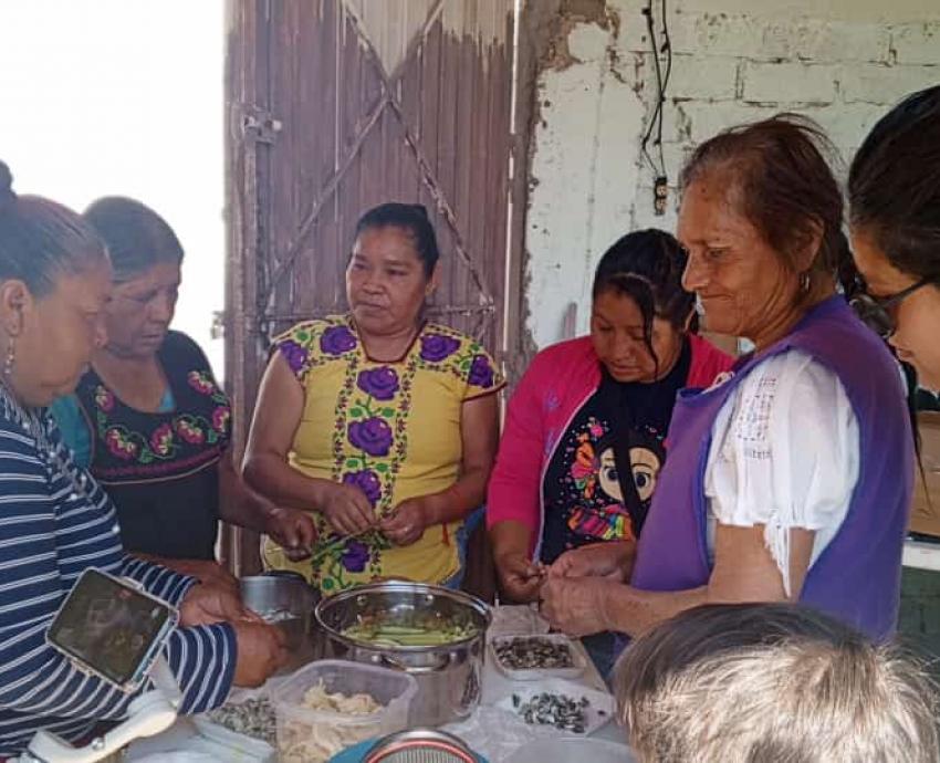 Con taller de estufas solares, UACI y CUTonalá impulsan transición energética de pueblos originarios del AMG