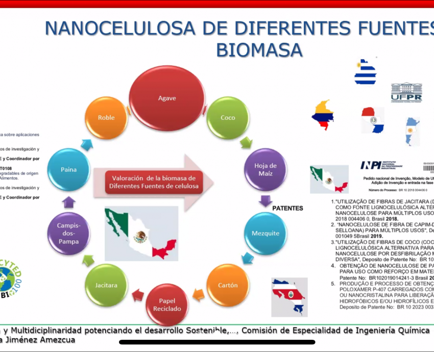 Académica de CUCEI ingresa a la Academia de Ingenierías de México