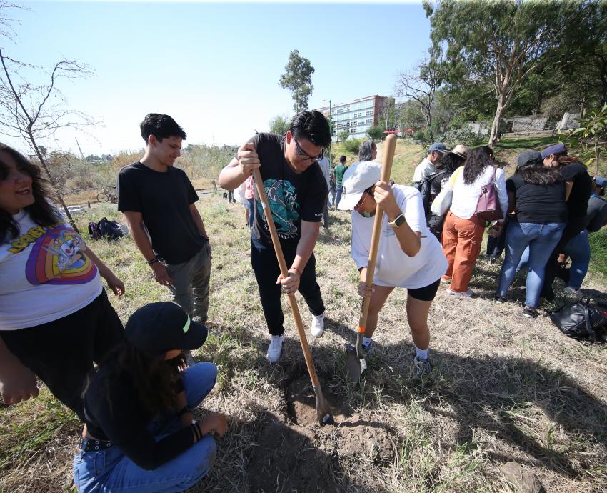 Con reforestación CUCSH celebra Día Mundial del Medio Ambiente