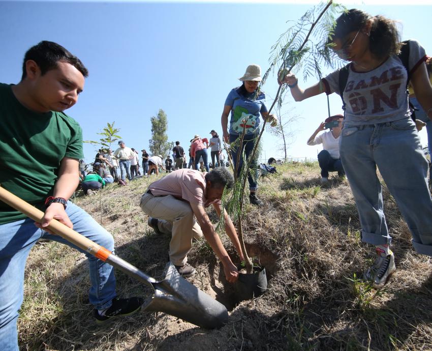 Con reforestación CUCSH celebra Día Mundial del Medio Ambiente