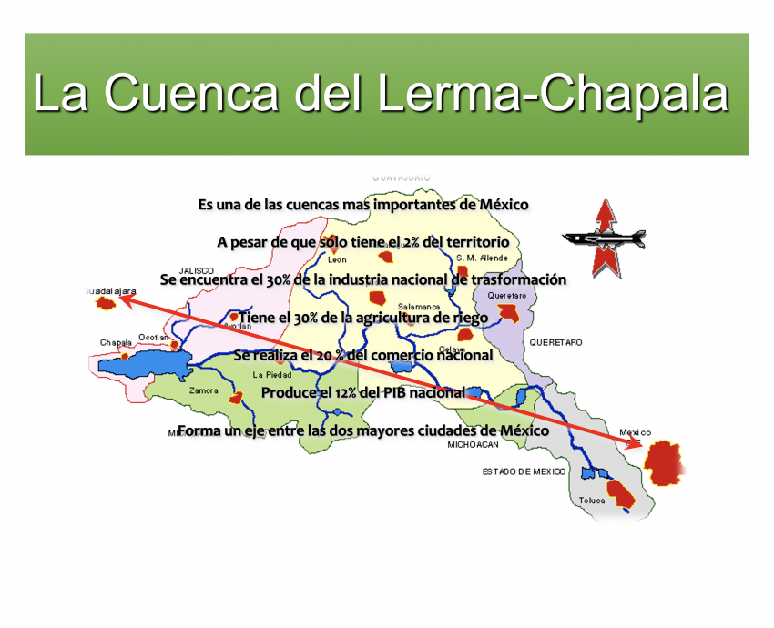 Los humedales son las áreas más amenazadas del mundo