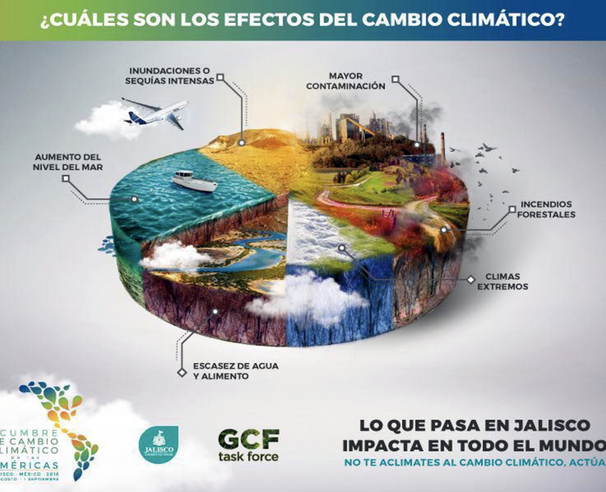 Los humedales son las áreas más amenazadas del mundo