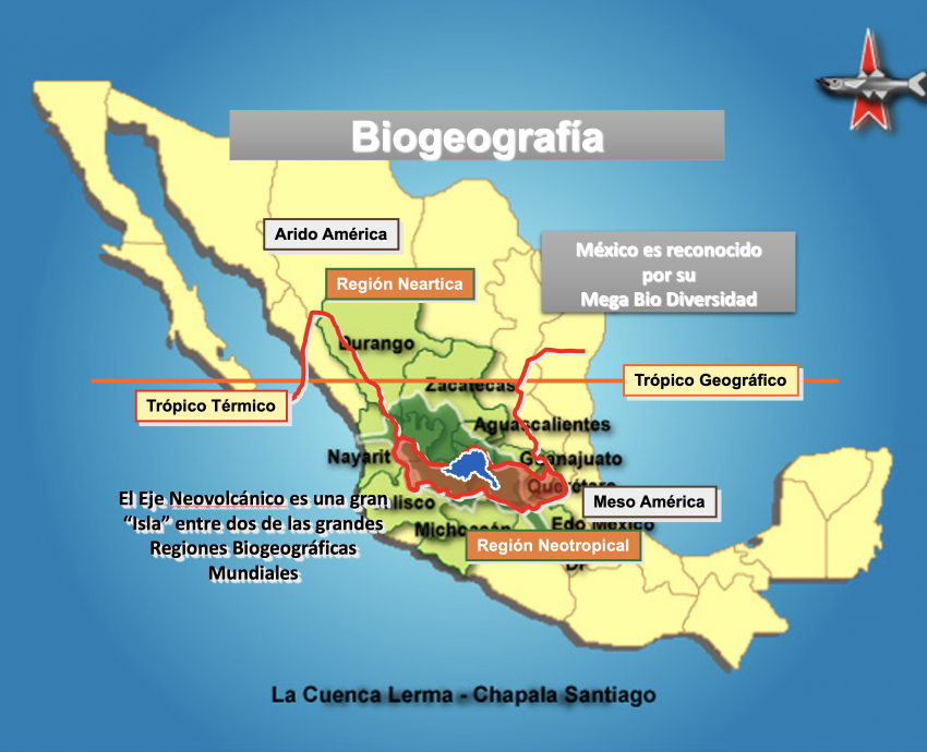 Los humedales son las áreas más amenazadas del mundo