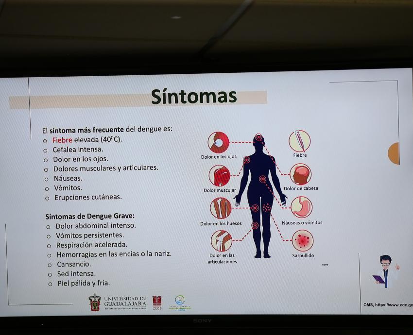 Especialistas exhortan a la población a tomar medidas preventivas contra el dengue