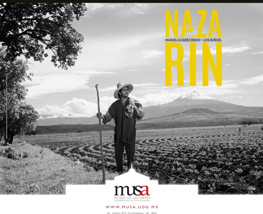 Actividades en MUSA del 12 al 15 de junio