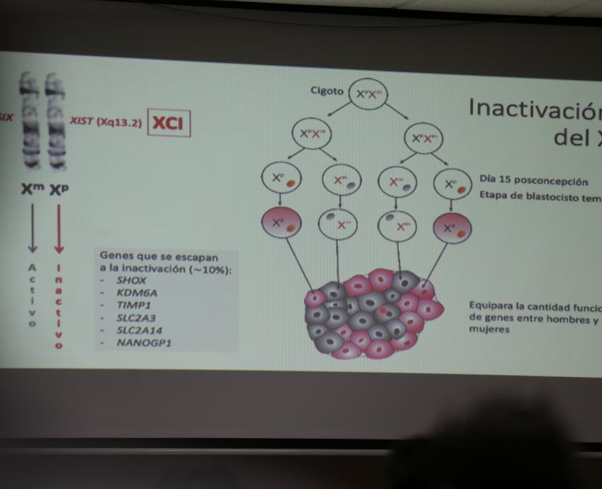 Detección temprana, clave en el tratamiento en pacientes con Síndrome de Turner