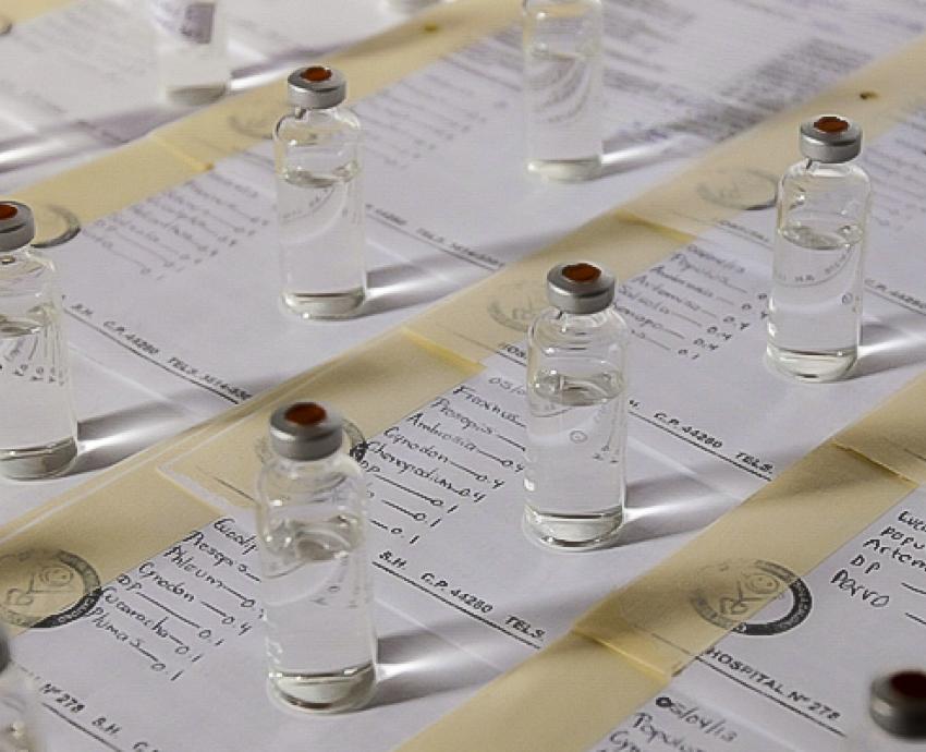 Estiman que hasta dos millones de personas tienen alguna alergia en Jalisco