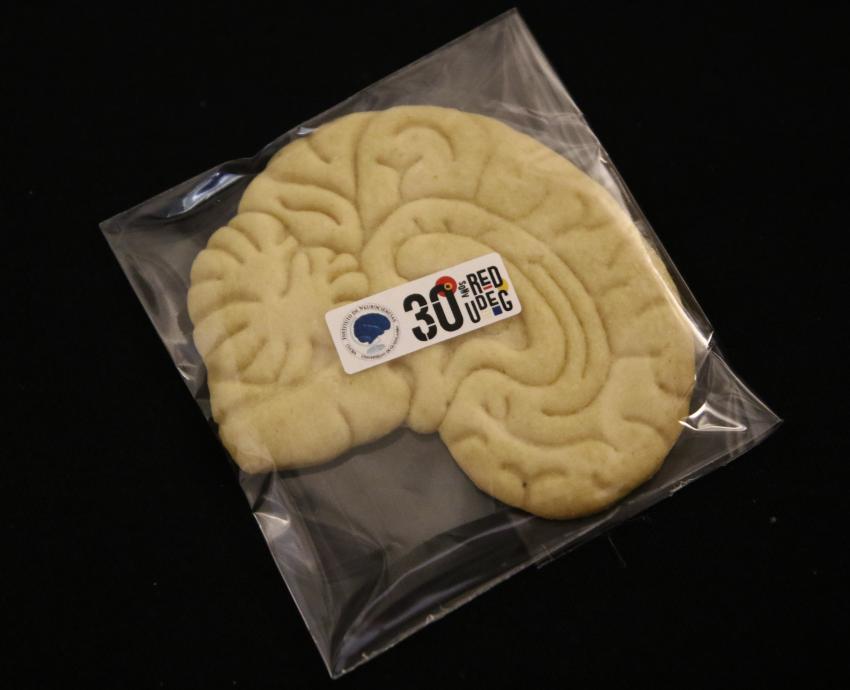 Conmemoran tres décadas del Instituto de Neurociencias de la UdeG