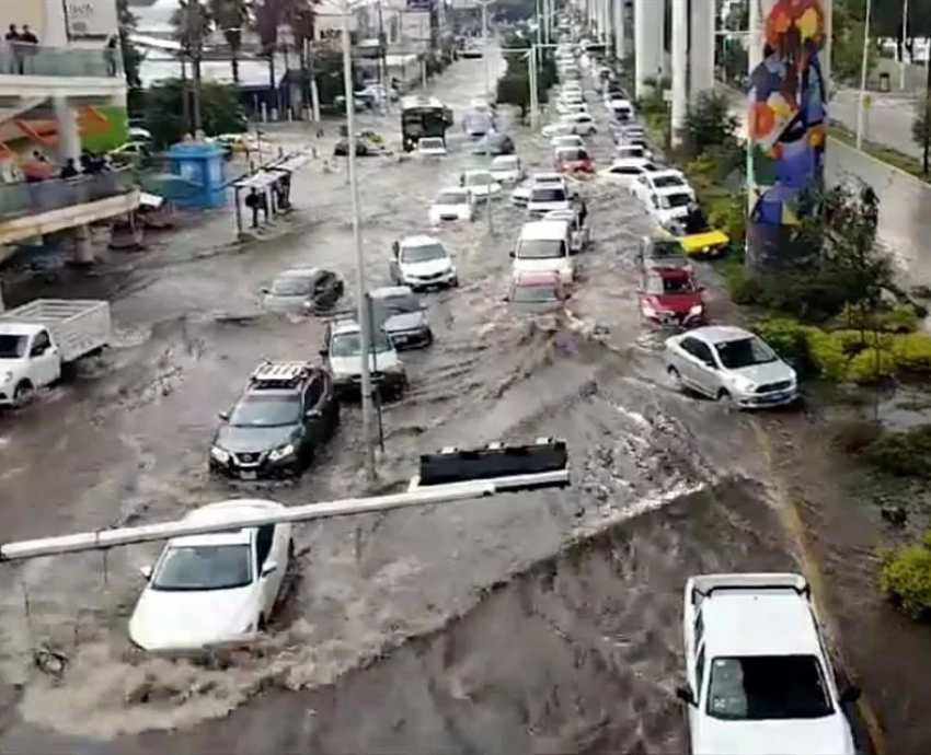 Urbanización alrededor del Bosque el Nixticuil intensifica inundaciones