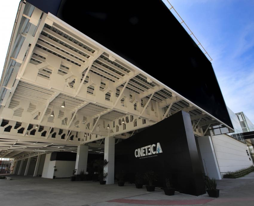 El cine es vivir una experiencia: Estrella Araiza
