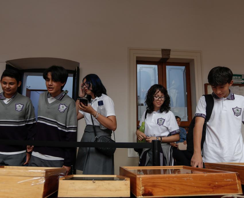 Visita Colección Biológica Itinerante del CUCSur el Congreso de Jalisco