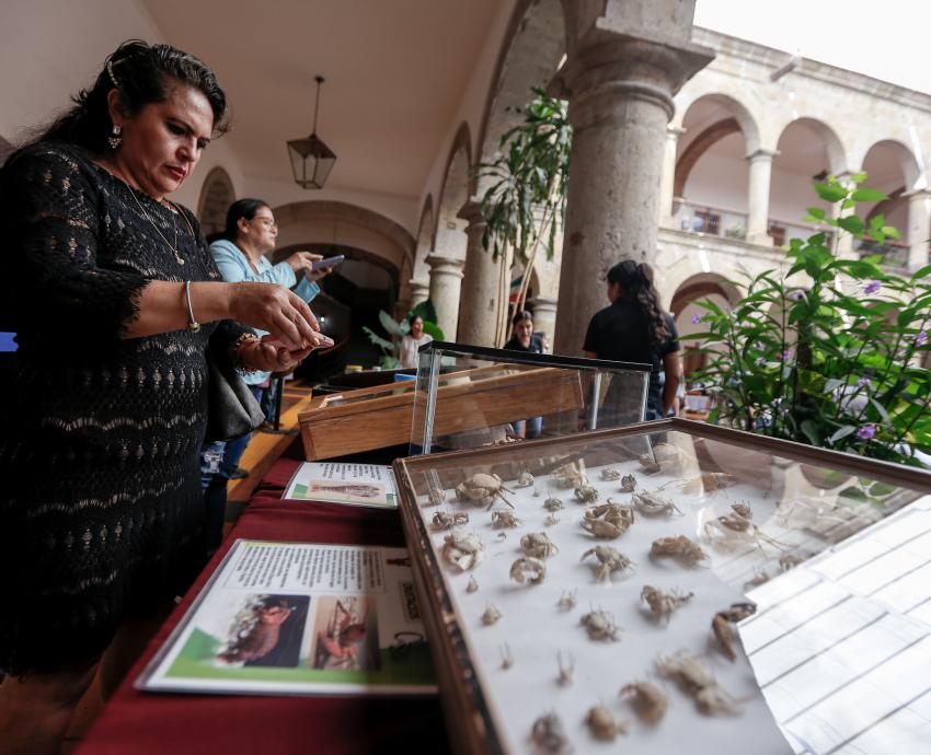 Visita Colección Biológica Itinerante del CUCSur el Congreso de Jalisco