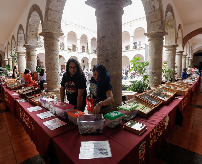 Visita Colección Biológica Itinerante del CUCSur el Congreso de Jalisco