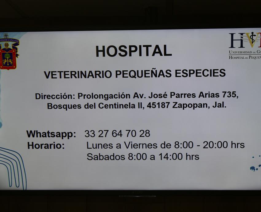 Prepara CUCBA campaña de esterilización gratuita