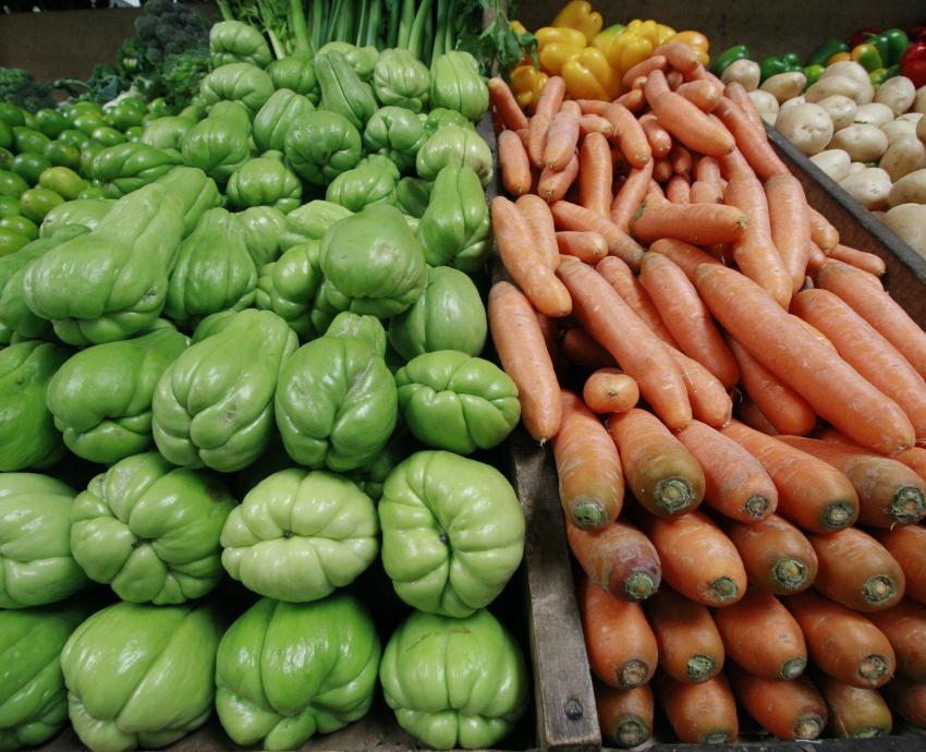 Uno de cada cinco adolescentes puede padecer trastorno de conducta alimentaria