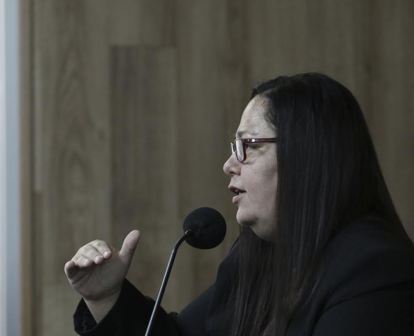 Pronostican un fin de año con temperaturas cálidas