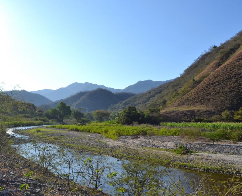 Carece de estrategias de conservación la Sierra de Vallejo-Río Ameca, afirma especialista 
