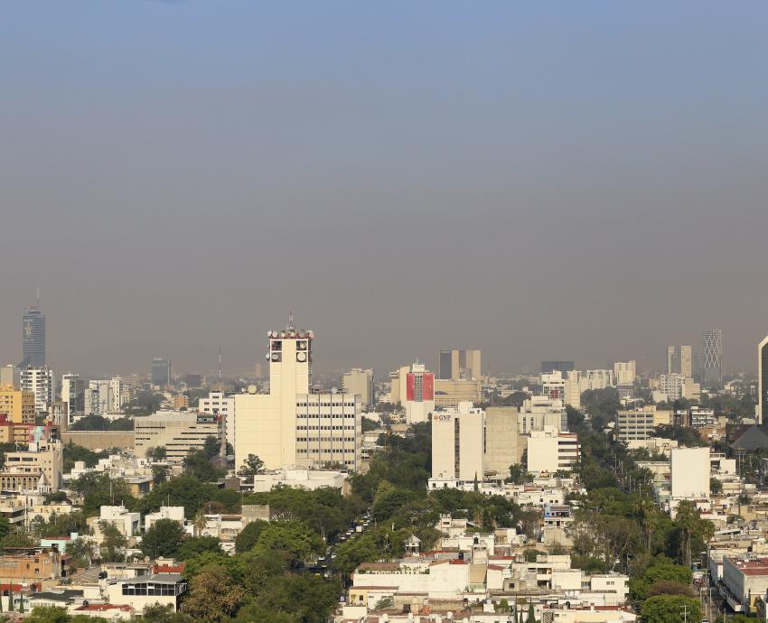 Enfrenta AMG diversas amenazas por el cambio climático