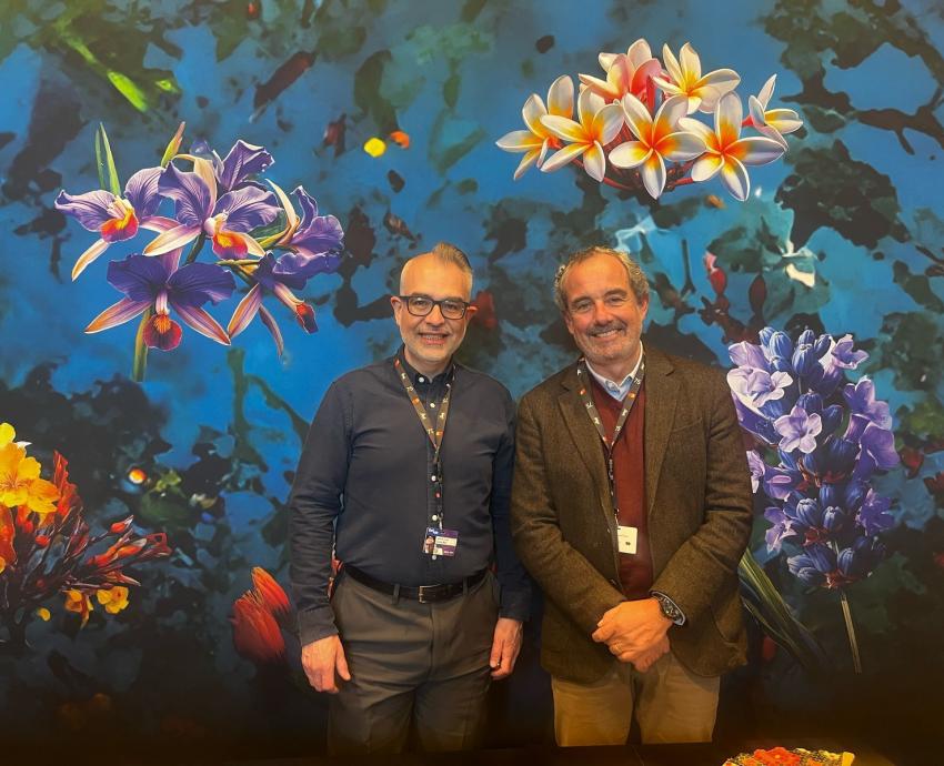 Portugal, invitado de honor en el 40 Festival Internacional de Cine en Guadalajara
