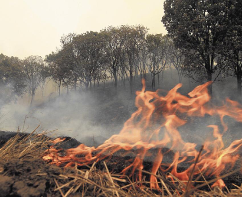 Jalisco, en “permanente peligro” ante incendios forestales