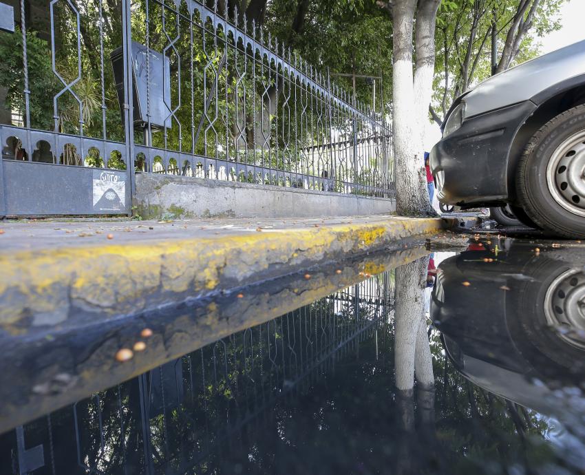 Pronostican más de 17 mil 800 casos de dengue durante este año en Jalisco