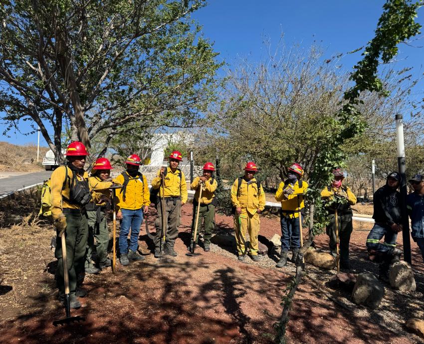 UdeG, Conafor y Semadet impulsan restauración del Cerro del Cuatro