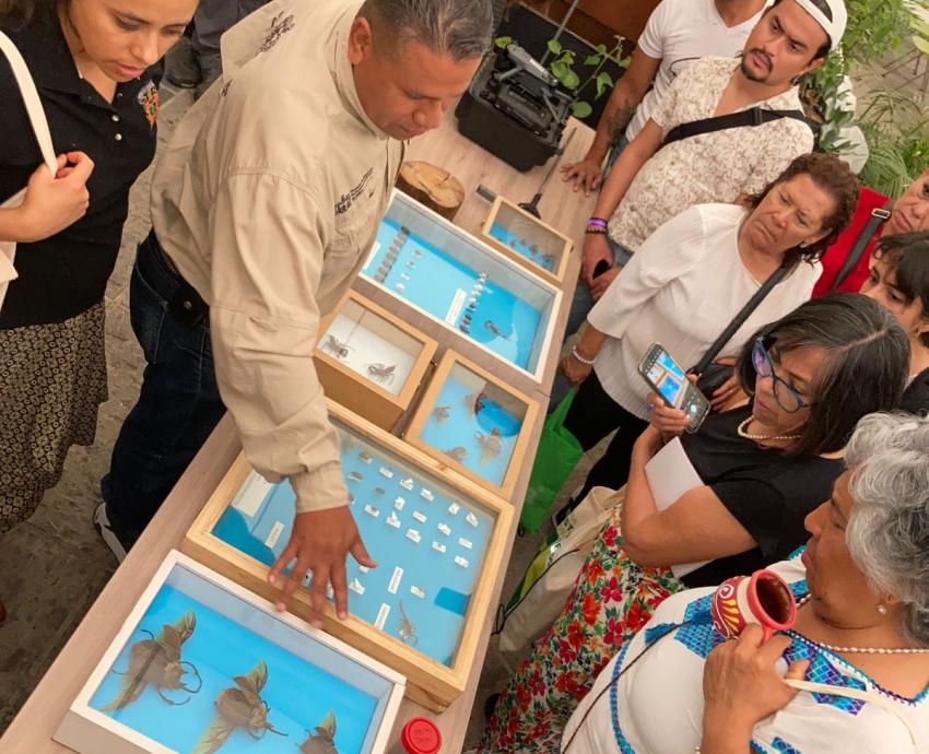 Educación ambiental para la búsqueda de fosas clandestinas