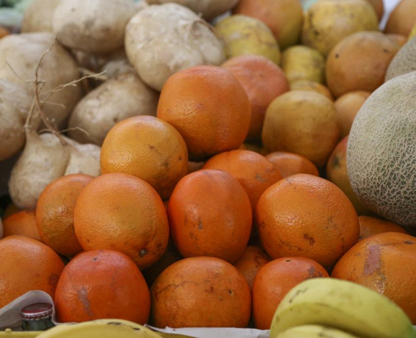 Con prácticas de consumo local, gastronomía sostenible reduce el impacto ambiental