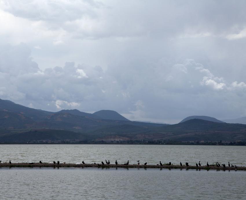 Suma CUSur más de dos décadas de investigación y protección del lago de Zapotlán