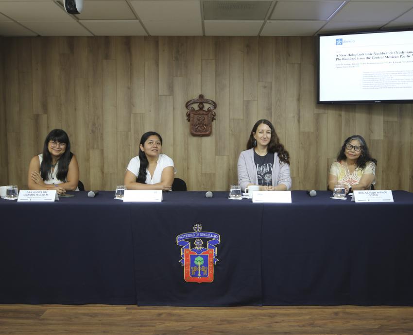 Equipo científico de UdeG descubre nuevo género de babosa marina en Melaque
