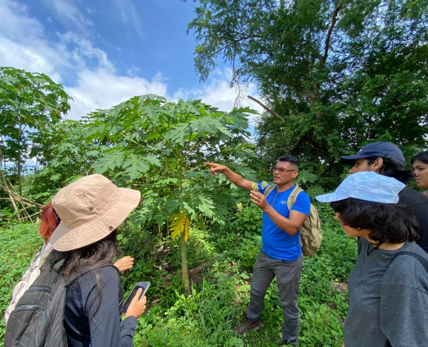 CUCosta invita a explorar y fotografiar la biodiversidad del Río Pitillal durante Home River BioBlitz 2025