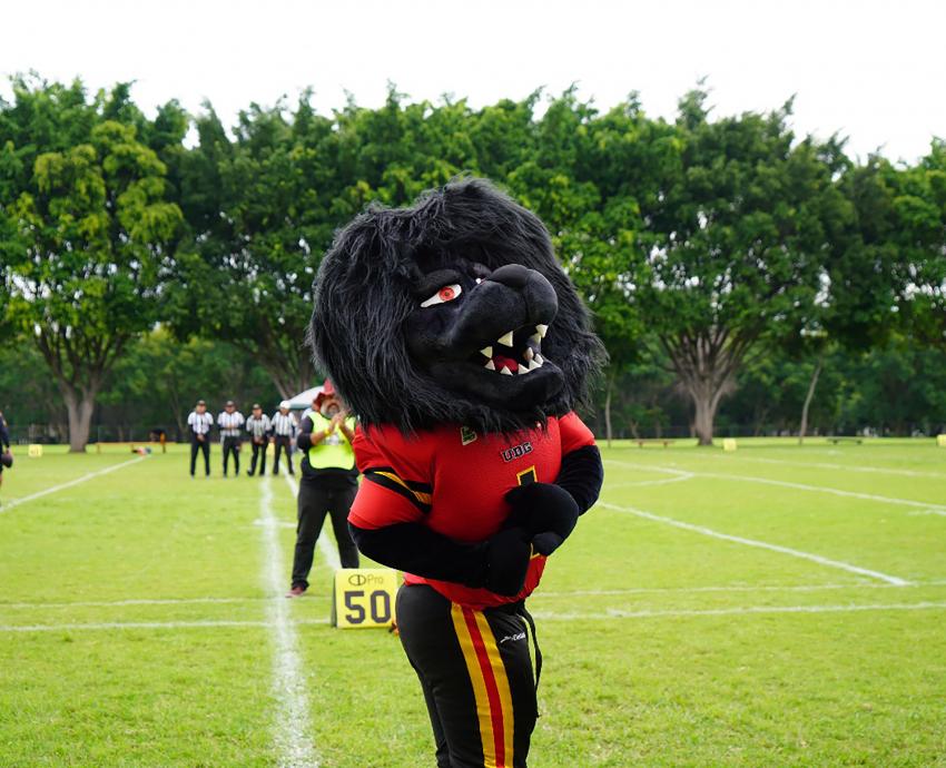 Arranca temporada Otoño de la ONEFA con encuentro de Leones Negros