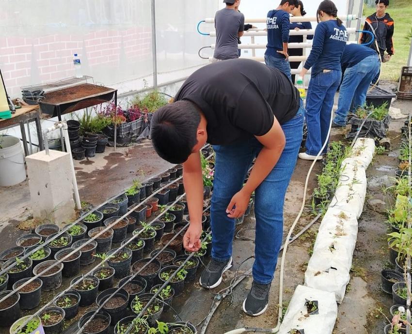 Vincula la Preparatoria 19 su labor de agricultura urbana con la cooperativa barcelonesa Tarpuna