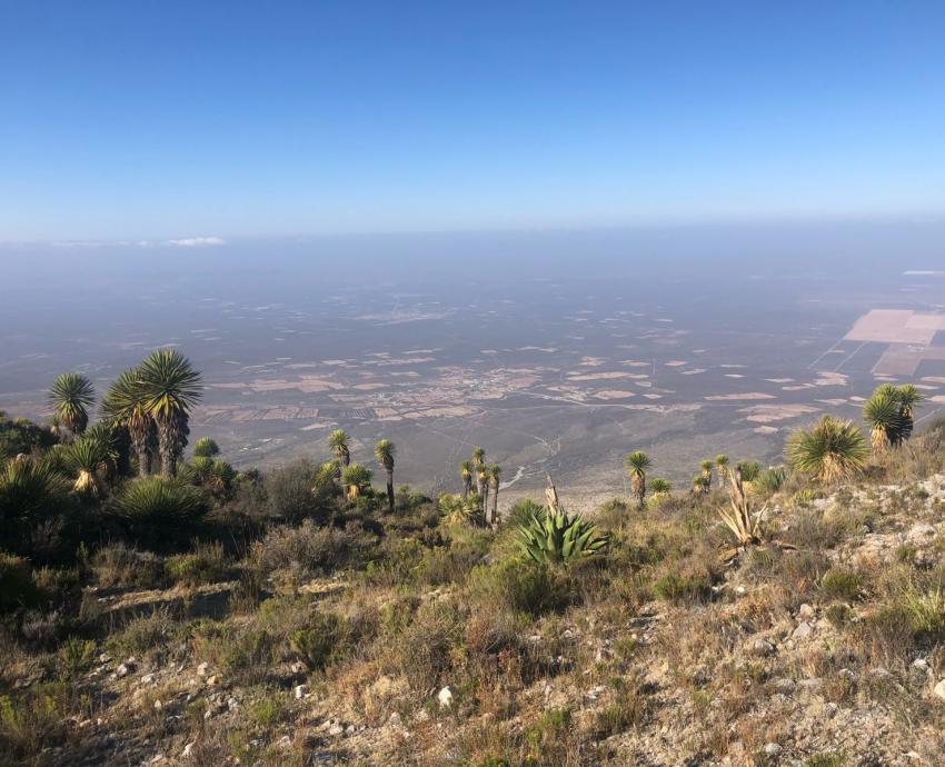 Destinan apoyo federal al Museo de Ciencias Ambientales y CUTlajomulco para impulsar divulgación de la ciencia en comunidades wixárikas
