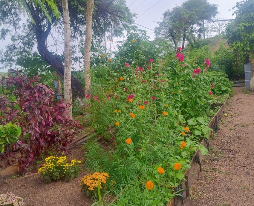 CUTlajomulco albergará XII Encuentro Internacional de Huertos Educativos