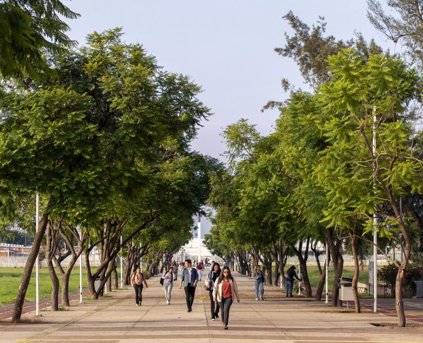 Abre CUCSH un espacio para la contención y acompañamiento emocional del profesorado 