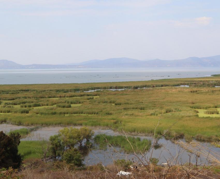 UdeG trabaja en recuperación de humedales mediante conocimientos tradicionales y cooperación internacional