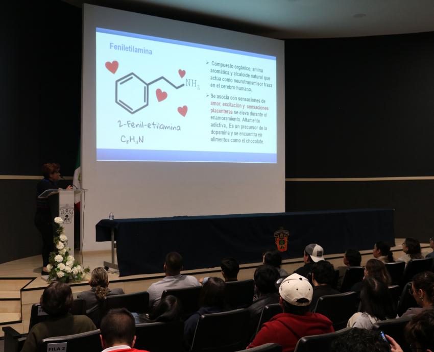 “Tormenta neuroquímica” provoca reacciones en el cerebro durante el enamoramiento