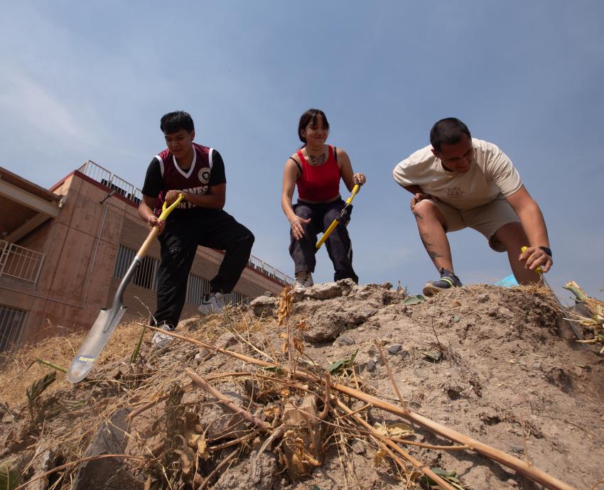 Convocan a participar en Jornada Nacional de Tequios en espacios deportivos