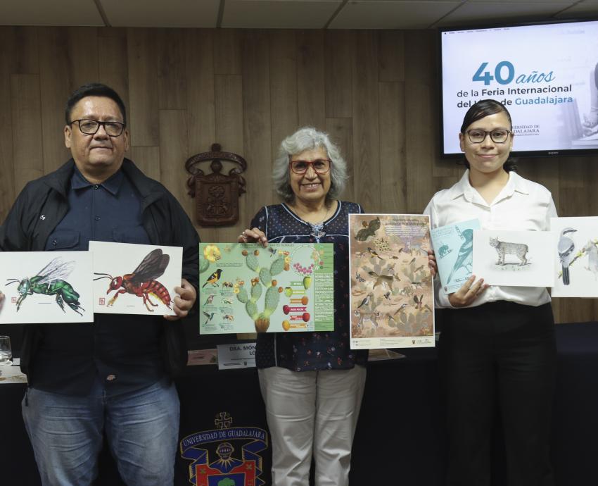 Acercan labor de especies polinizadoras por medio de la ilustración científica