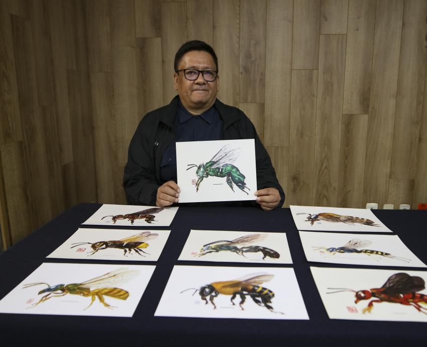 Acercan labor de especies polinizadoras por medio de la ilustración científica