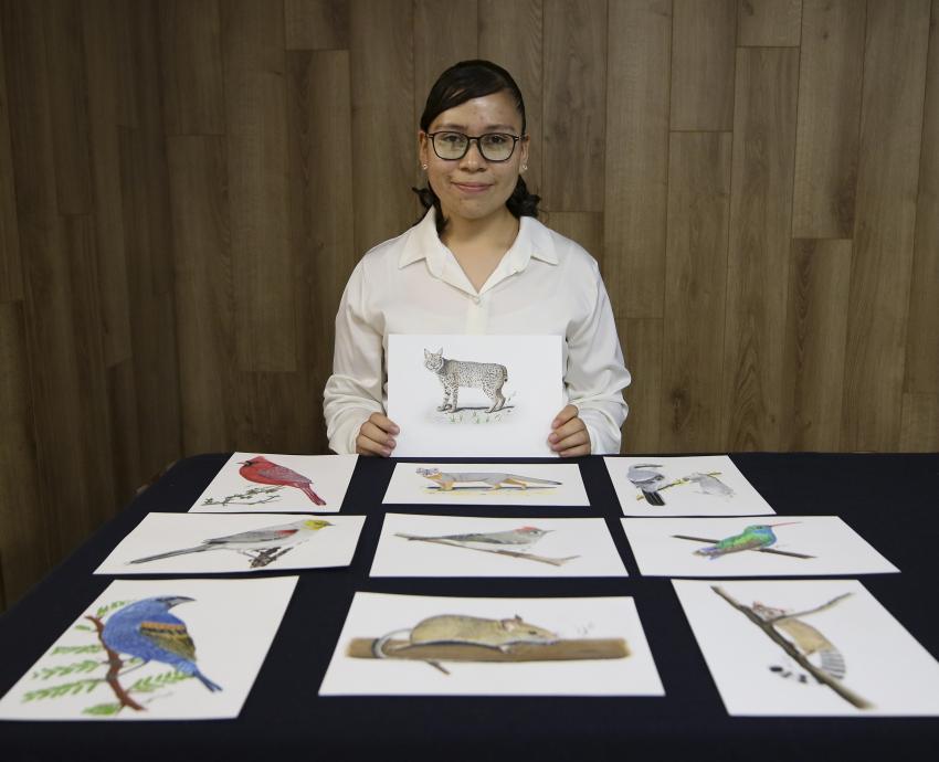 Acercan labor de especies polinizadoras por medio de la ilustración científica