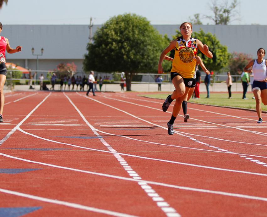 Abierta, la convocatoria para la maestría en Educación física y deporte