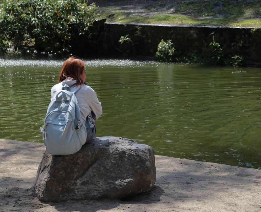 UdeG impulsa educación ambiental a través de Tequios en Colomos