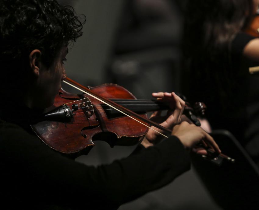 Invita Orquesta de Cámara Higinio Ruvalcaba al Triple concierto de Beethoven