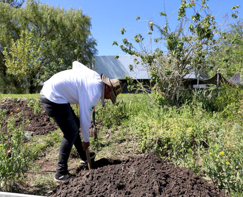 Impulsa CUValles conservación de la biodiversidad con Laboratorio jardín etnobiológico de Jalisco