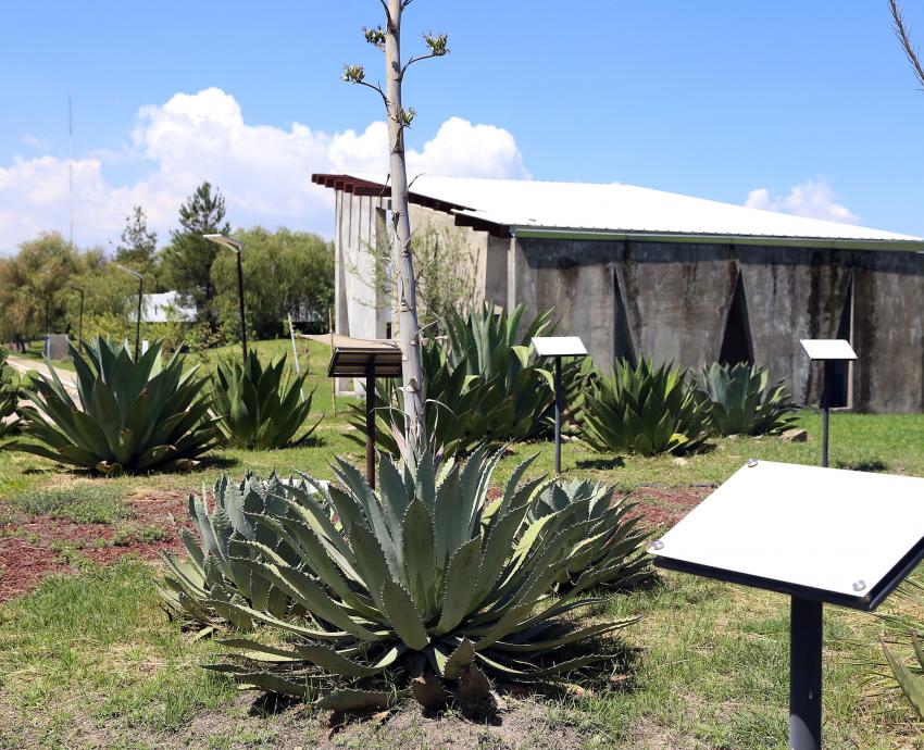Impulsa CUValles conservación de la biodiversidad con Laboratorio jardín etnobiológico de Jalisco