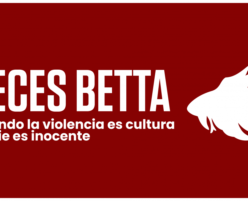 Cortometraje “Peces betta” obtiene estímulo Proyecta 2026