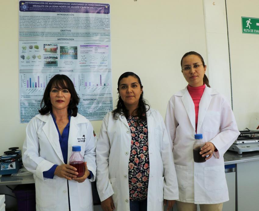 Desarrolla CUNorte bebida probiótica a partir de maíces nativos de  la zona wixárika de Jalisco