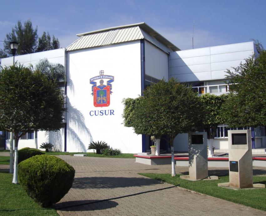 Nueva opción de formación en CUSur: licenciatura en Cultura Física y Deportes 